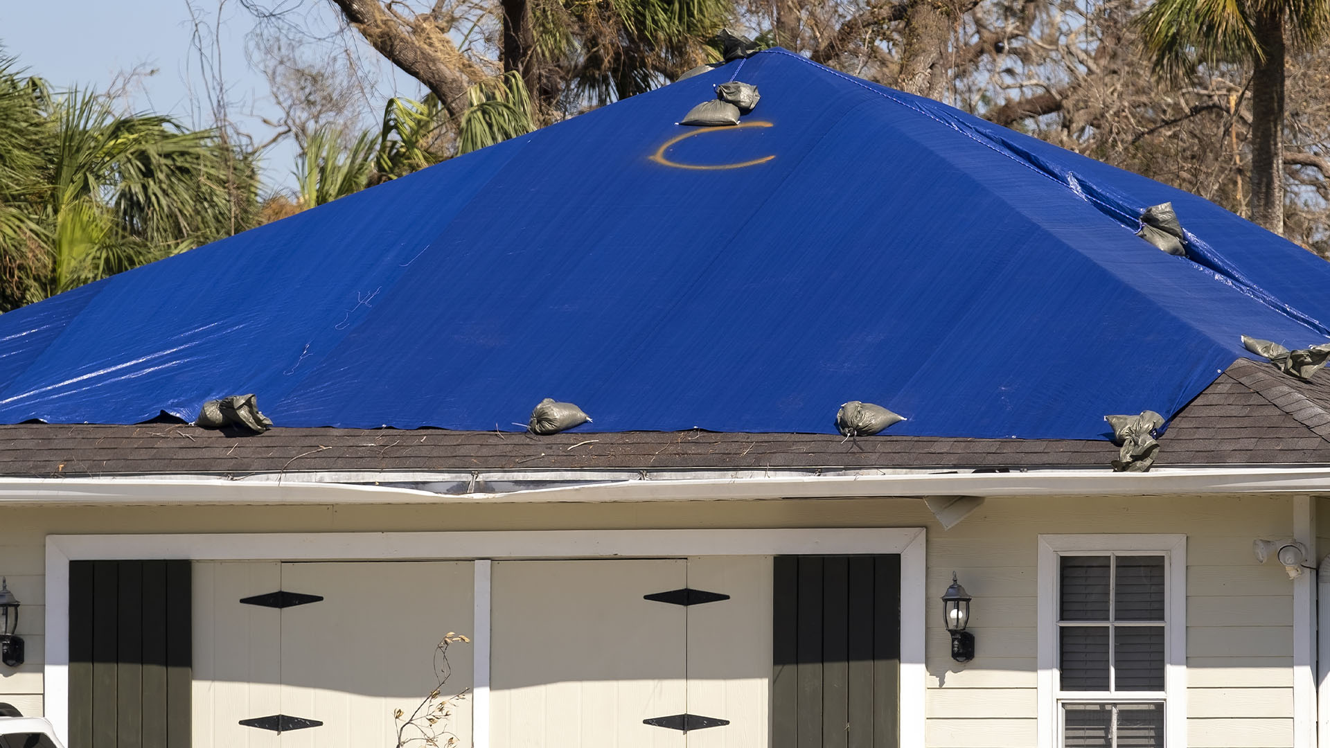 imagenes web ASR Blue tarps