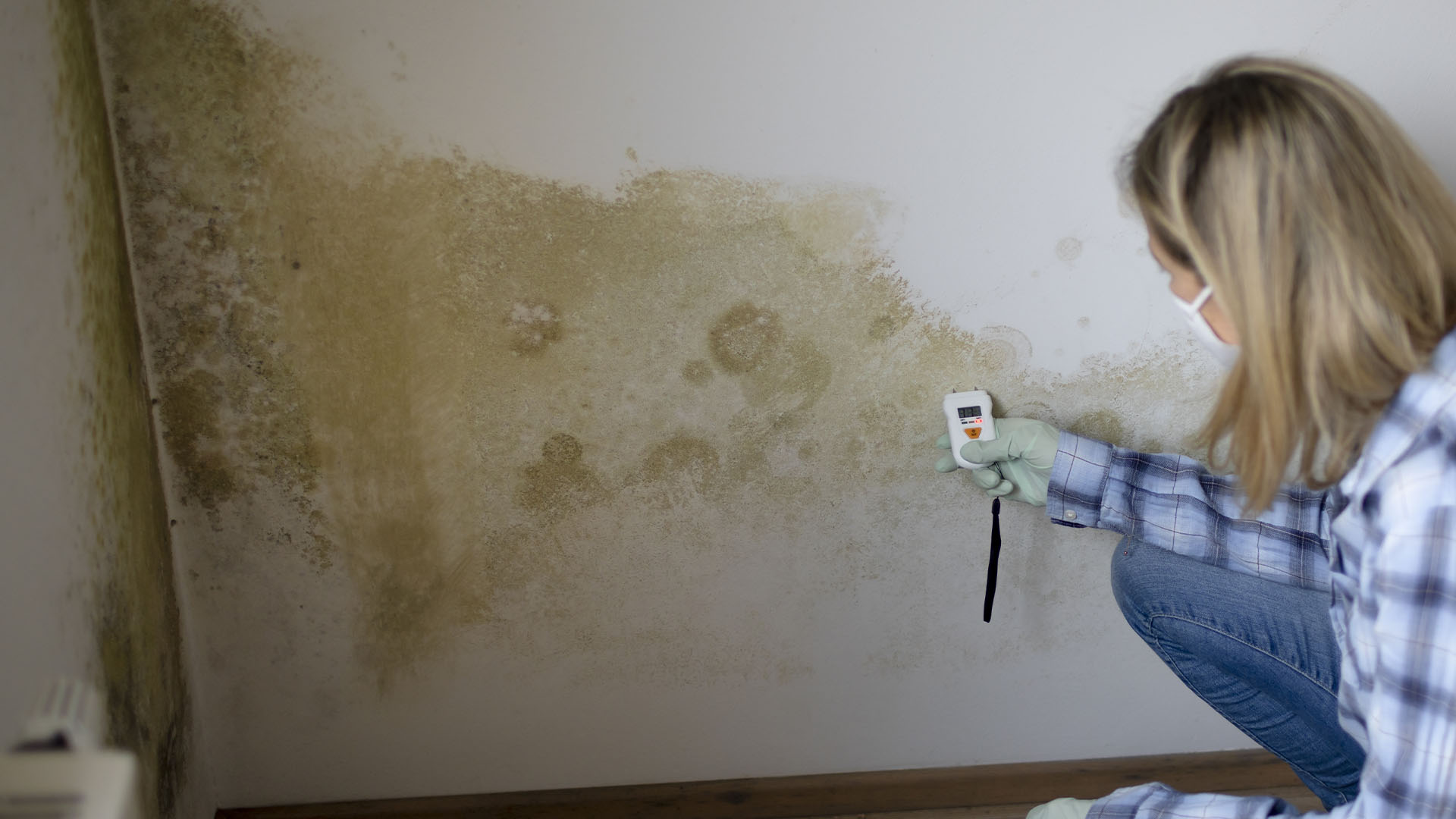 imagenes web ASR Mold Remediation_1