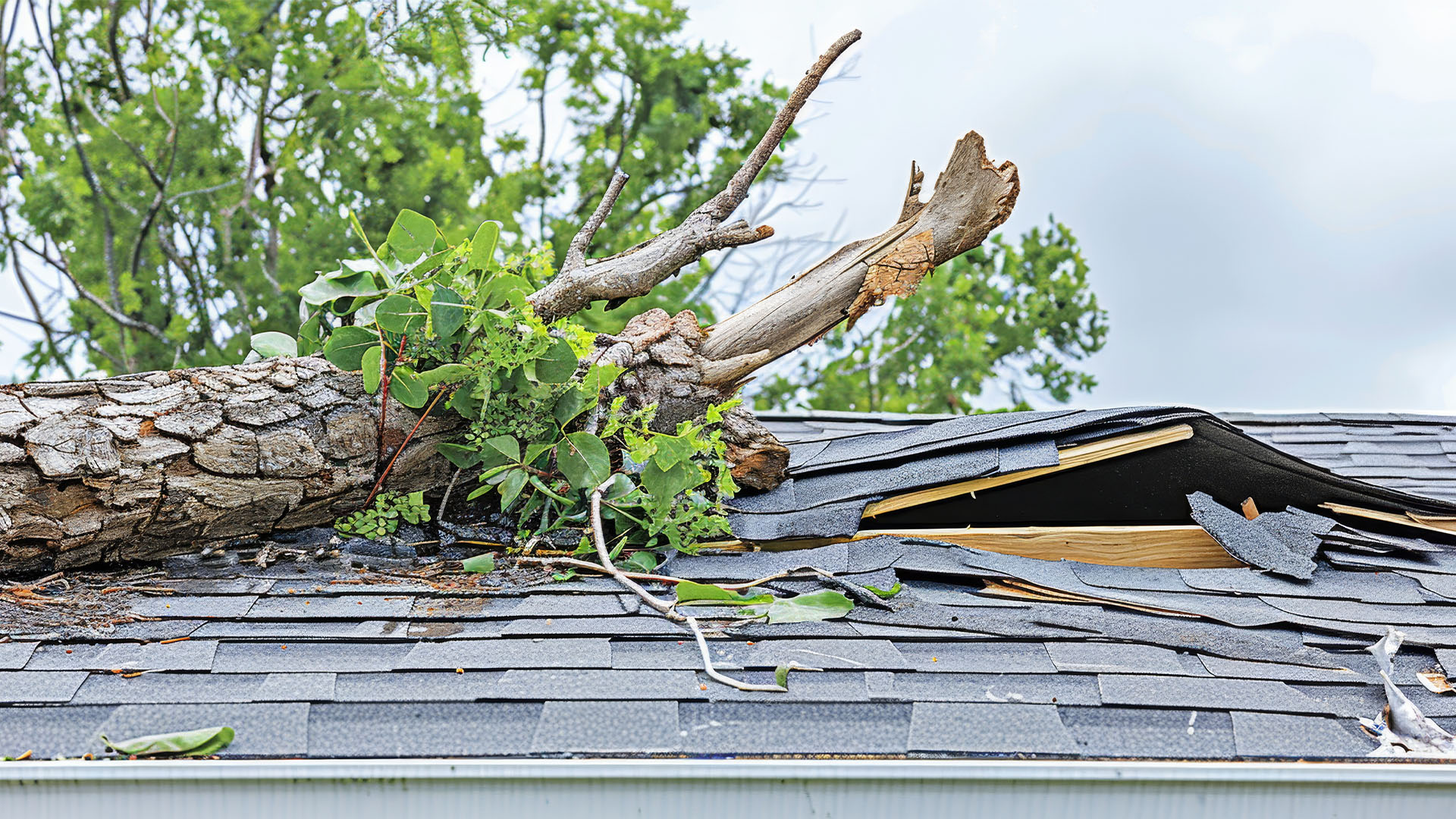 imagenes web ASR OTHER DAMAGES 1