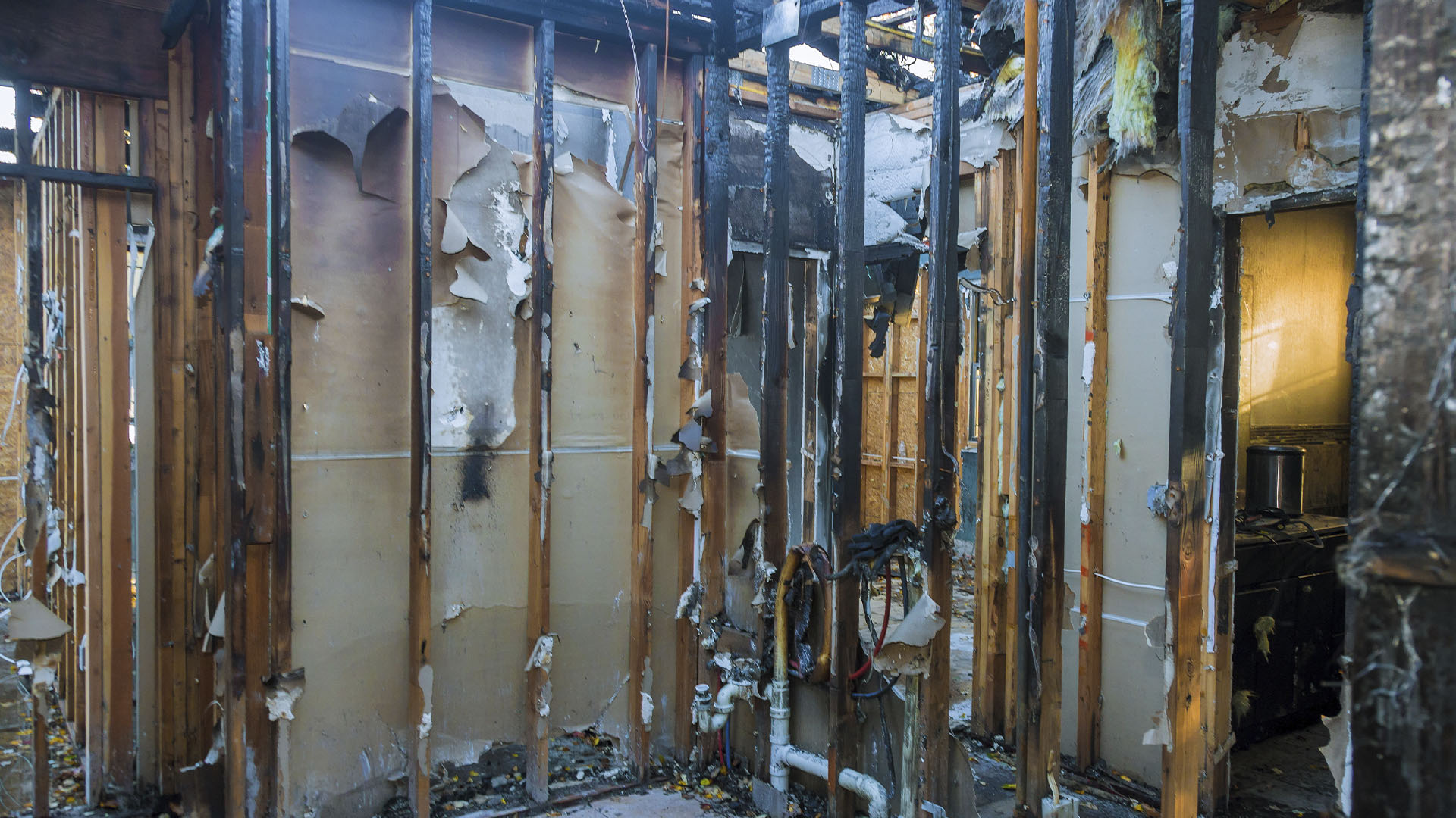 imagenes web ASR Odor removal_