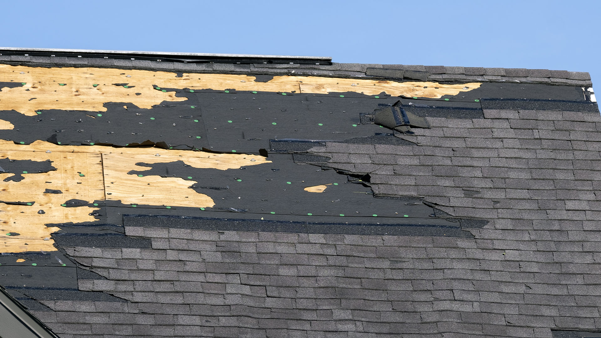 imagenes web ASR roof 1