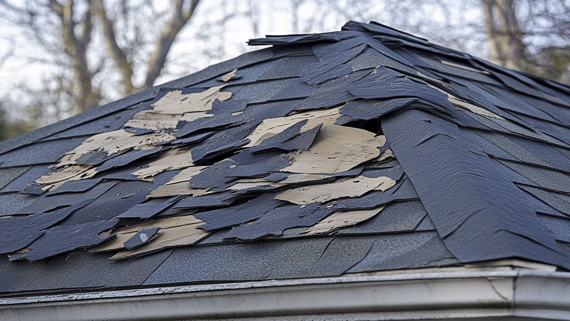 imagenes web ASR roof 5